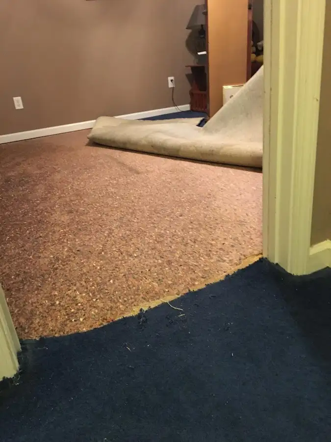 Carpet pad removal revealing water damage during Water Mitigation Services in Evesham