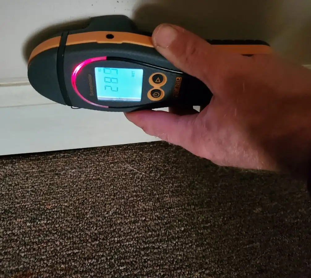 Moisture detection at baseboard during Mold Inspection & Testing in Evesham